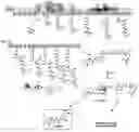 Fig. 01 - Gene cluster of pederin biosynthesis genes