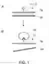 Fig. 02 - Target detection system having a conformationally sensitive probe comprising a nucleic acid based signal transducer