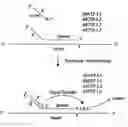 Fig. 01 - Compositions and methods for polynucleotide sequence determination