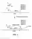 Fig. 02 - Compositions and methods for polynucleotide sequence determination