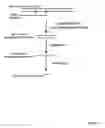 Fig. 02 - Amplification of target nucleotide sequence without polymerase chain reaction