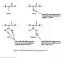 Fig. 03 - Design Technique for Use in Engineering of Deamidation Rates of Peptides, Proteins, Hormones, and Peptide-Like, Protein-Like and Hormone-Like Molecules