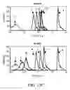Fig. 32 - Specific binding agents to hepatocyte growth factor