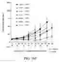 Fig. 41 - Specific binding agents to hepatocyte growth factor
