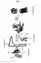 Fig. 02 - Method of analyzing organelle-localized protein and materials for analysis