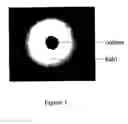 Fig. 02 - Rapid way to obtain high expression clones of mammalian cells using a methylcellulose and immunoprecipitation screening method
