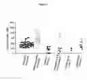 Fig. 05 - Global test of the hemostatic system