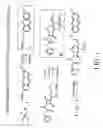 Fig. 02 - Fluorogenic substrates for BETA-lactamase gene expression