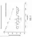 Fig. 06 - Fluorogenic substrates for BETA-lactamase gene expression