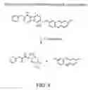 Fig. 09 - Fluorogenic substrates for BETA-lactamase gene expression