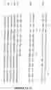 Fig. 02 - Novel regulatory molecule and genetic sequences encoding same