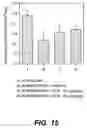 Fig. 13 - Novel proteins and methods for producing the proteins