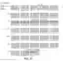 Fig. 06 - Nucleic acid and amino acid sequences encoding high-level expressor factor VIII polypeptides and methods of use