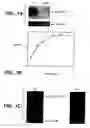 Fig. 02 - Enhanced secretion of a polypeptide by a microorganism