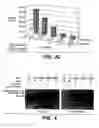 Fig. 04 - Enhanced secretion of a polypeptide by a microorganism
