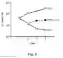 Fig. 07 - Packaging complementation cell-line for sv-40 vectors