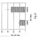 Fig. 08 - Packaging complementation cell-line for sv-40 vectors