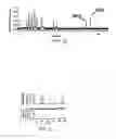 Fig. 10 - Electrical detectors for microanalysis