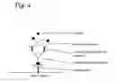 Fig. 07 - Two-layer antibody capture system