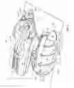 Fig. 02 - Screw drive vehicle