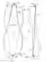 Fig. 06 - Swim and dive fin