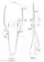 Fig. 07 - Swim and dive fin