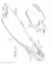 Fig. 09 - Swim and dive fin