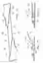 Fig. 10 - Swim and dive fin