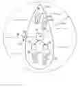 Fig. 01 - Maritime safety system