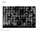 Fig. 08 - Method and apparatus for preparing spherical crystalline fine particles