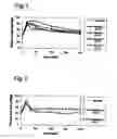 Fig. 02 - Recombinant gelatin-like proteins for use as plasma expanders