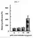 Fig. 08 - Method for stimulating wound healing