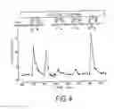 Fig. 05 - Insulinotropic hormone derivatives and uses thereof