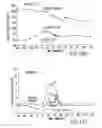 Fig. 12 - Insulinotropic hormone derivatives and uses thereof