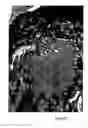 Fig. 08 - Method for treating bone loss using parathyroid hormone
