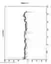 Fig. 48 - Compositions and methods for diagnosing and treating cancers