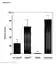 Fig. 26 - Vascular therapeutics
