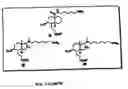 Fig. 08 - Nuclease resistant double-stranded ribonucleic acid