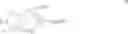 Fig. 76 - Nuclease resistant double-stranded ribonucleic acid