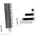 Fig. 28 - Method for treating cancer using IAP antisense oligomer and chemotherapeutic agent