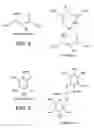 Fig. 03 - HIF-1 inhibitors and methods of use thereof