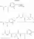 Fig. 07 - GlyT2 modulators