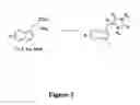 Fig. 03 - Inhibitors of cellular necrosis
