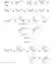 Fig. 03 - β-2′- or 3′-halonucleosides