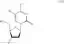 Fig. 35 - β-2′- or 3′-halonucleosides