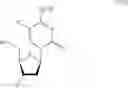 Fig. 40 - β-2′- or 3′-halonucleosides