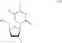 Fig. 65 - β-2′- or 3′-halonucleosides