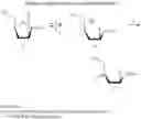 Fig. 67 - β-2′- or 3′-halonucleosides