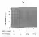 Fig. 02 - Anticancer agents