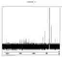 Fig. 09 - Compounds as semaphorin inhibitors